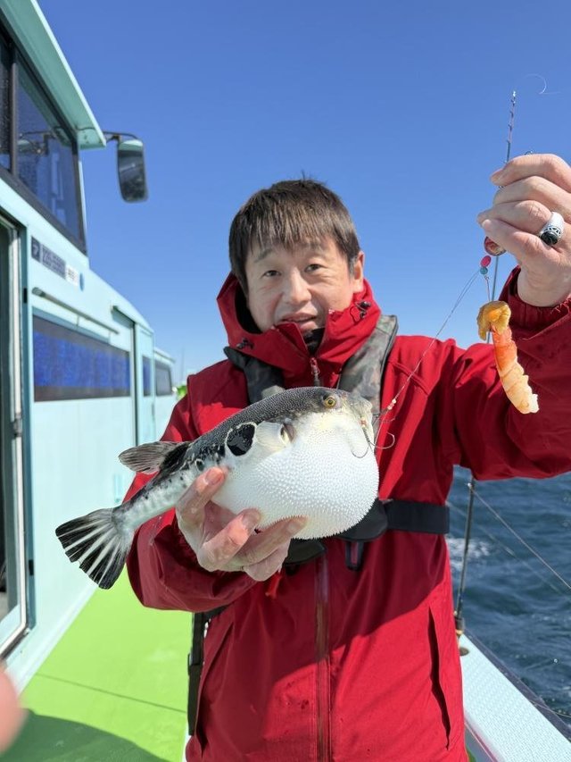 フグ(トラフグ)