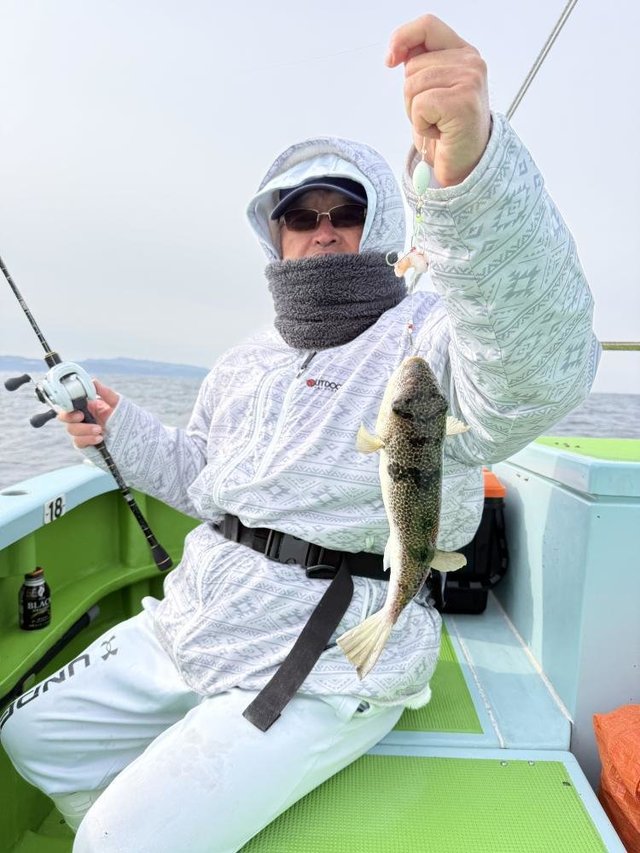 フグ(ショウサイフグ)