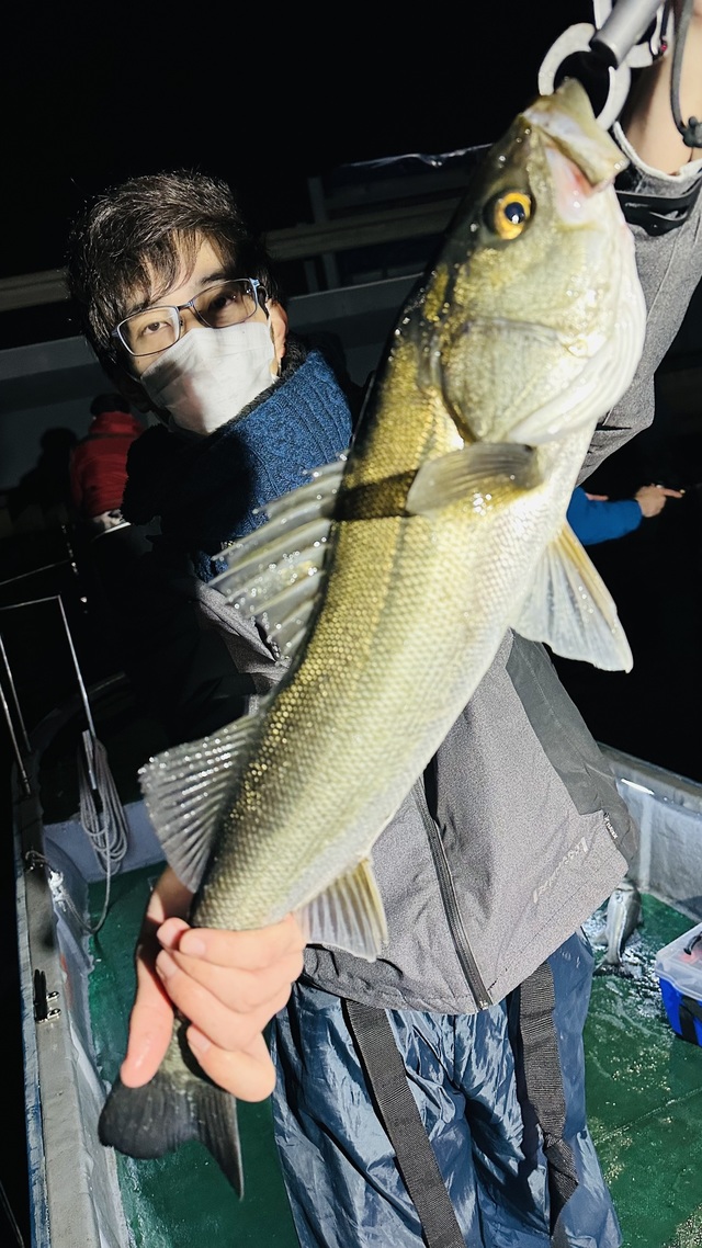 シーバス(スズキ)