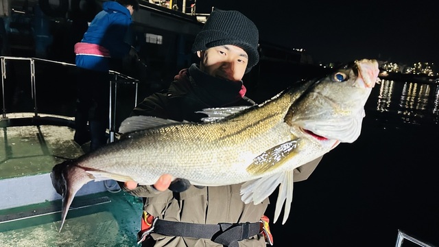 シーバス(スズキ)