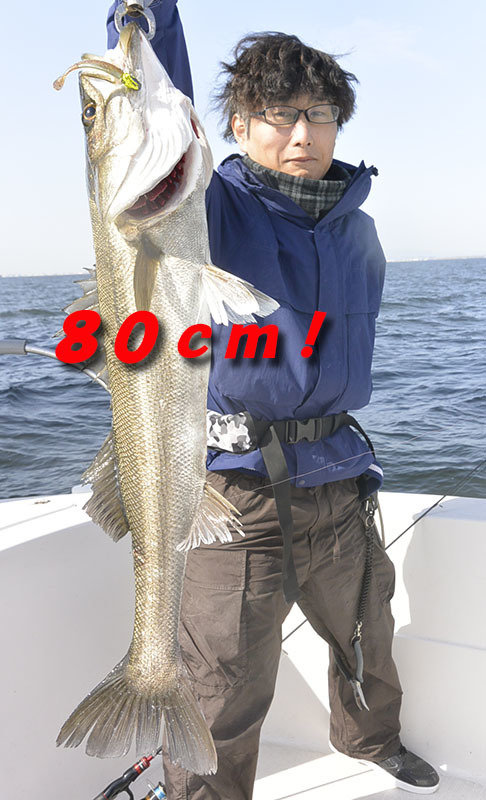 シーバス(スズキ)