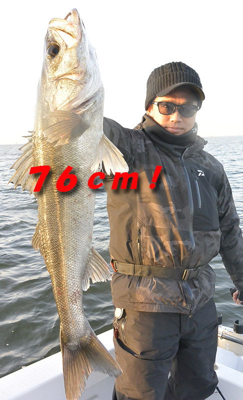 シーバス(スズキ)