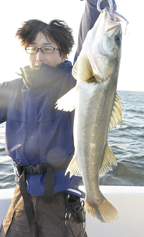 シーバス(スズキ)