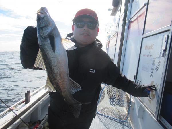 シーバス(スズキ)