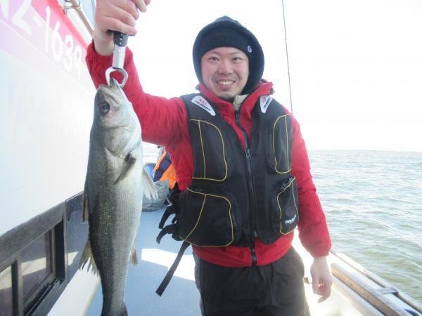 シーバス(スズキ)