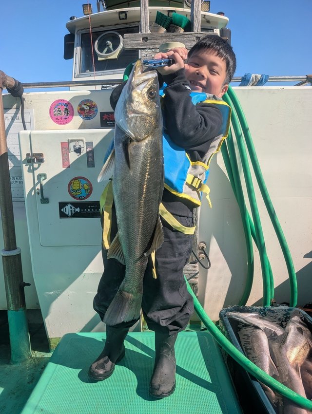 シーバス(スズキ)