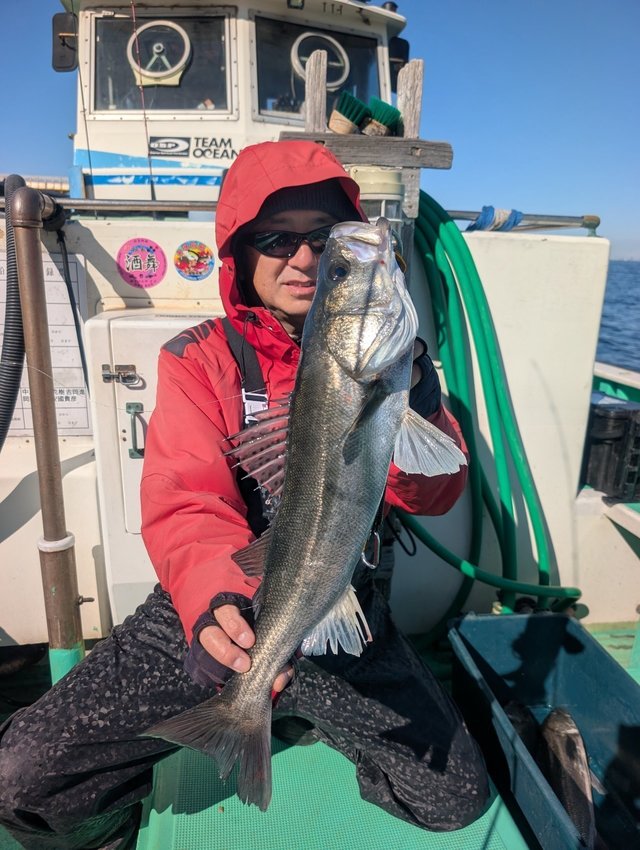 シーバス(スズキ)