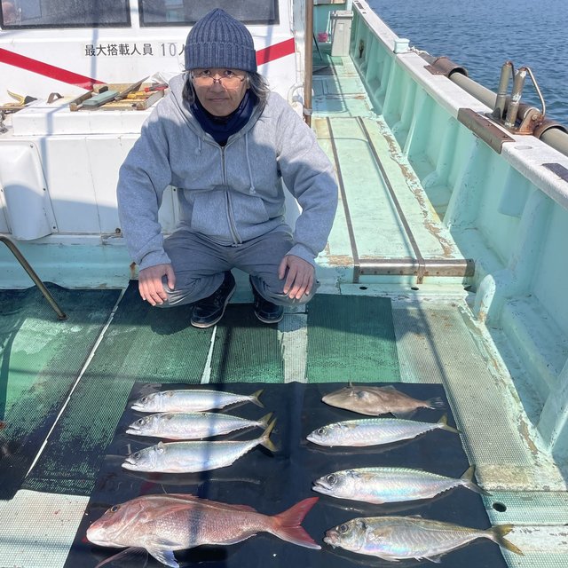 マダイ・マアジ・マサバ