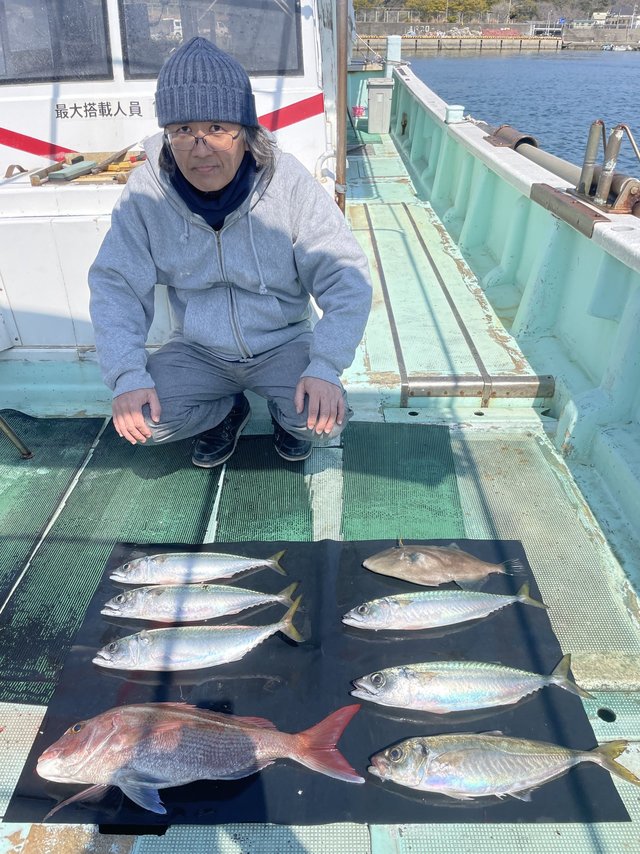 マダイ・マアジ・マサバ