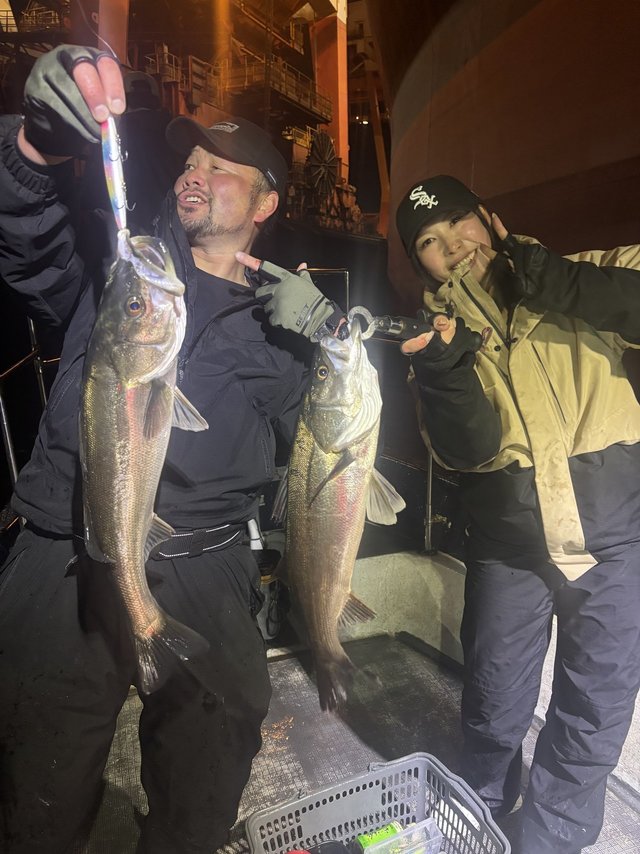 シーバス(スズキ)