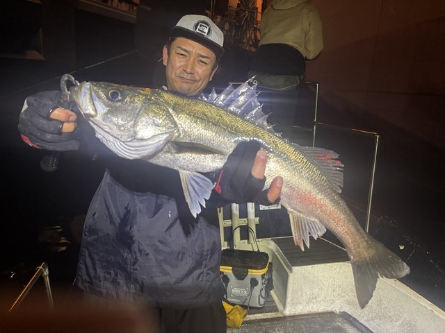 シーバス(スズキ)