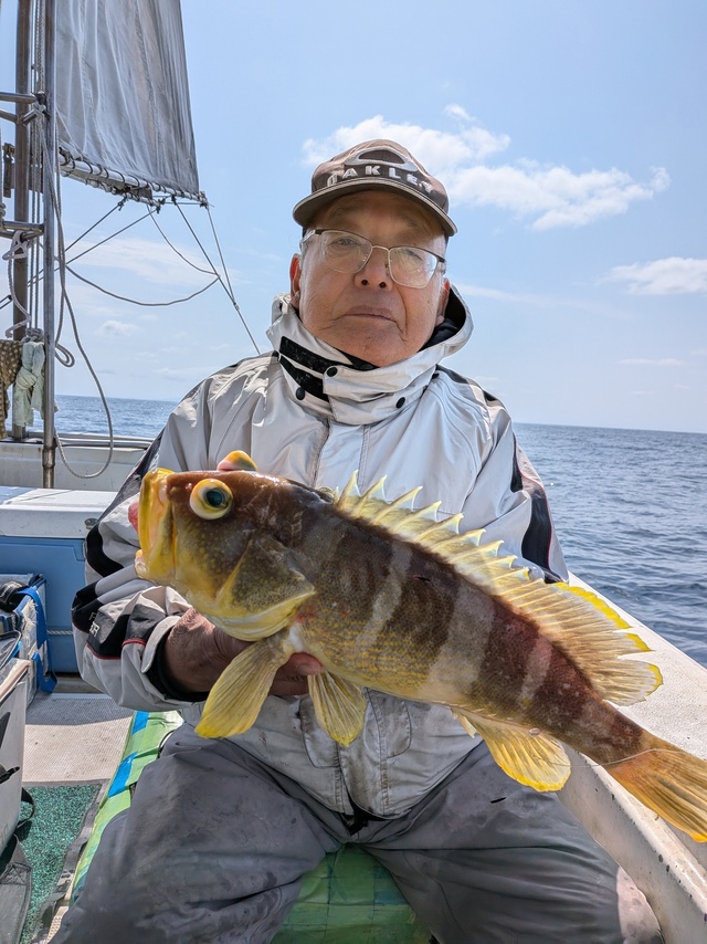 アオナ(アオハタ)