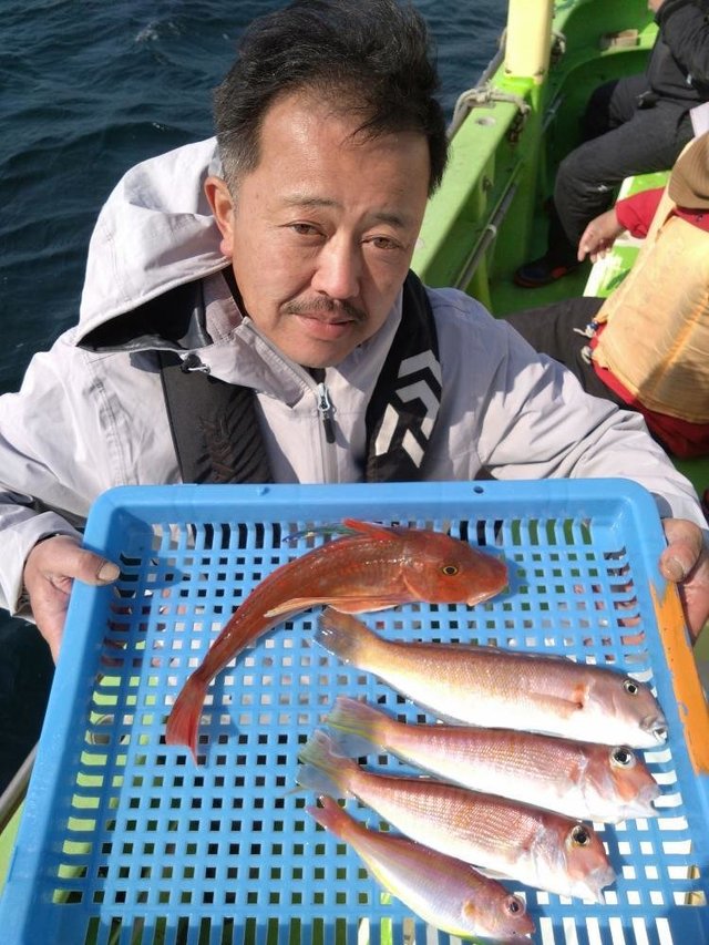 アマダイ(アカアマダイ)