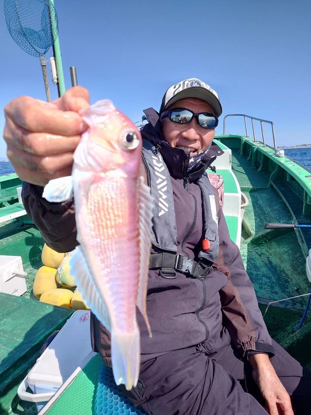 アマダイ(アカアマダイ)