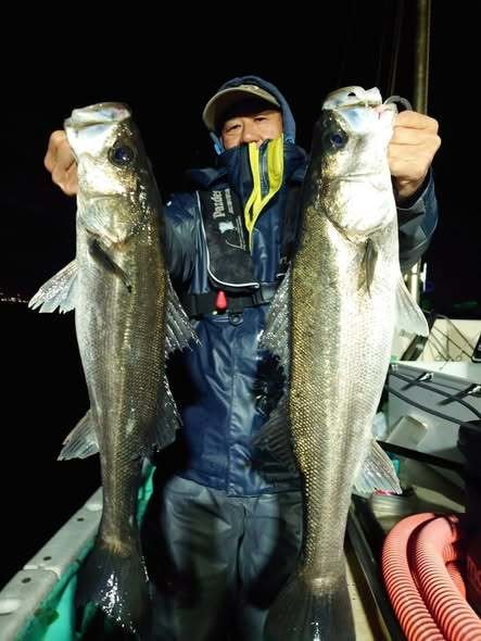 シーバス(スズキ)