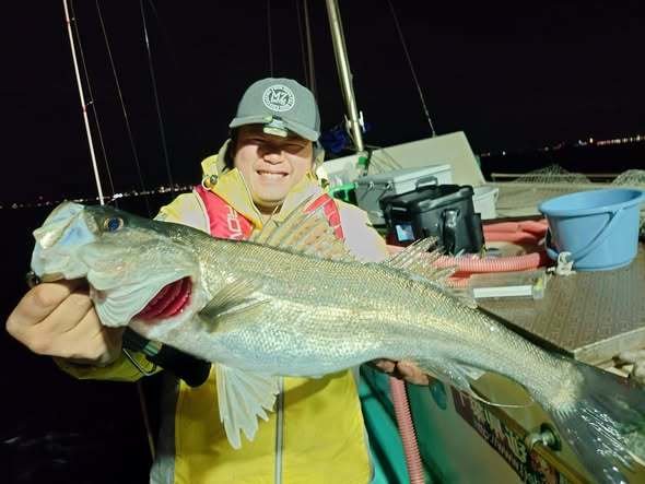 シーバス(スズキ)