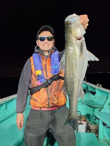 シーバス(スズキ)