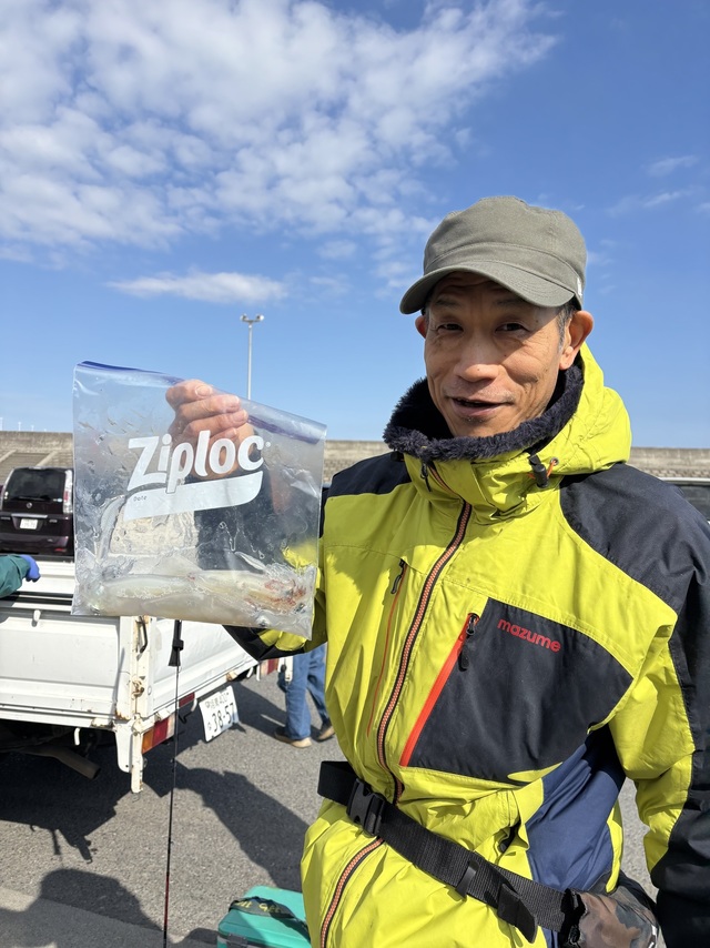 マルイカ(ケンサキイカ)