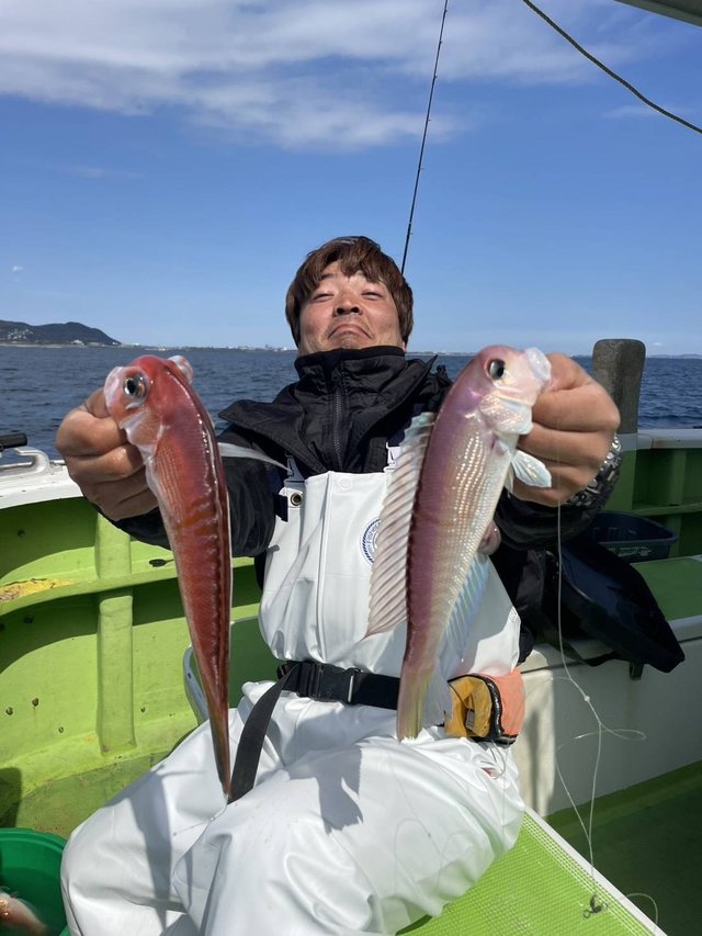 アマダイ(アカアマダイ)