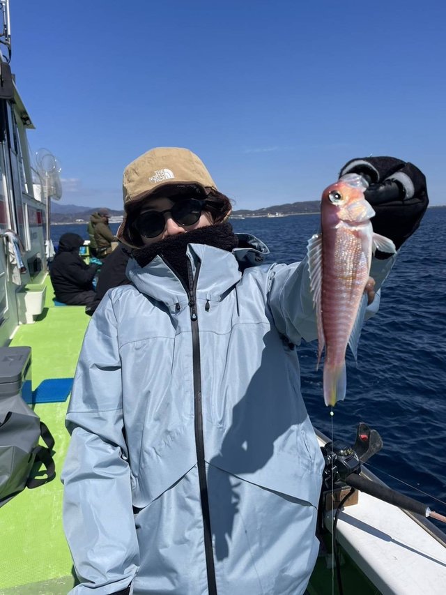 アマダイ(アカアマダイ)