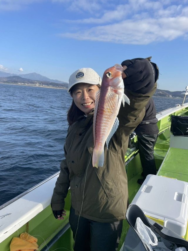 アマダイ(アカアマダイ)