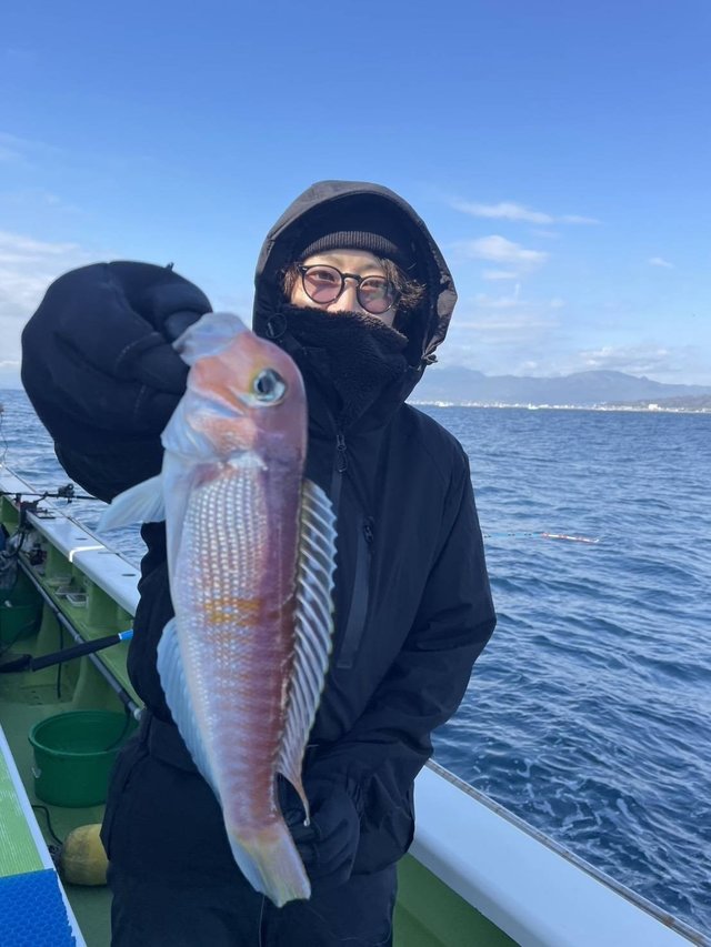 アマダイ(アカアマダイ)