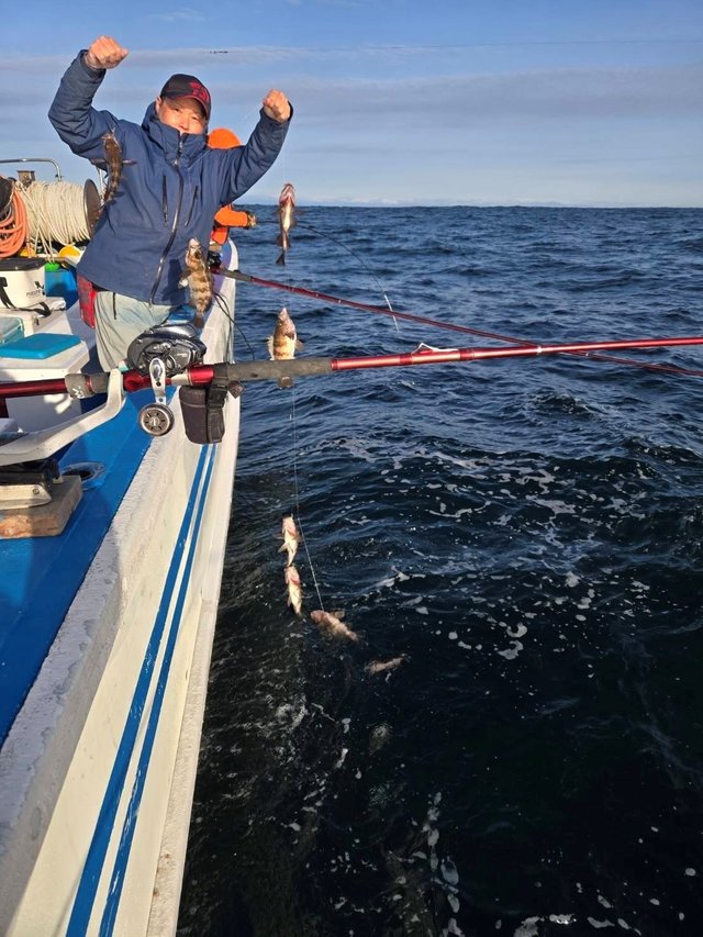 メバル(ウスメバル)