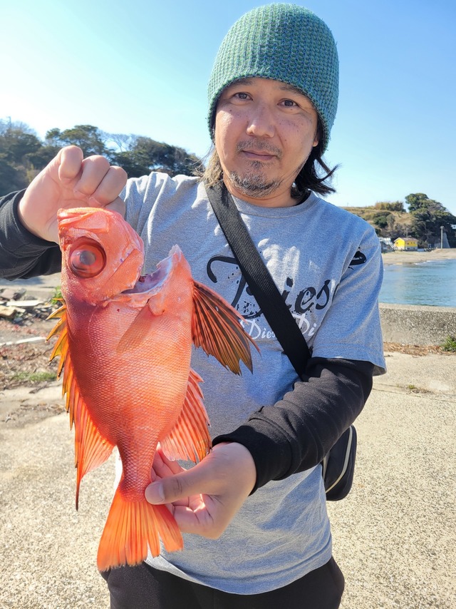 キントキ(チカメキントキ)