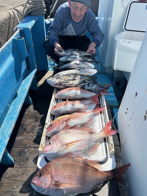 マダイ・クロダイ・イシダイ