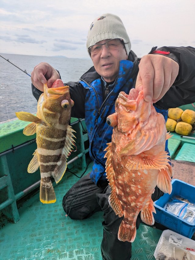 アオハタ・キジハタ