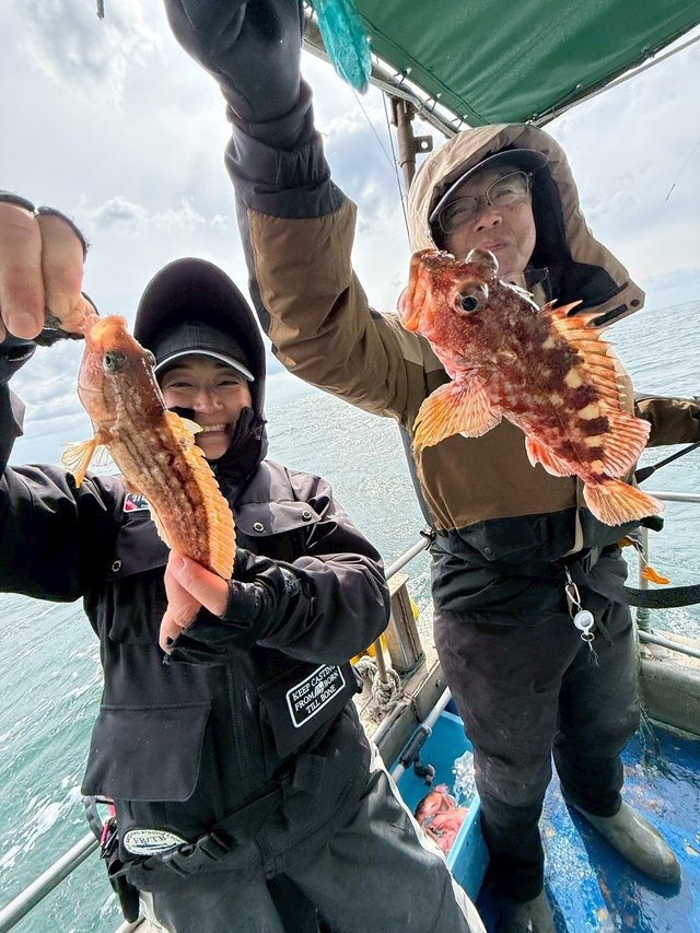 ガシラ(カサゴ)