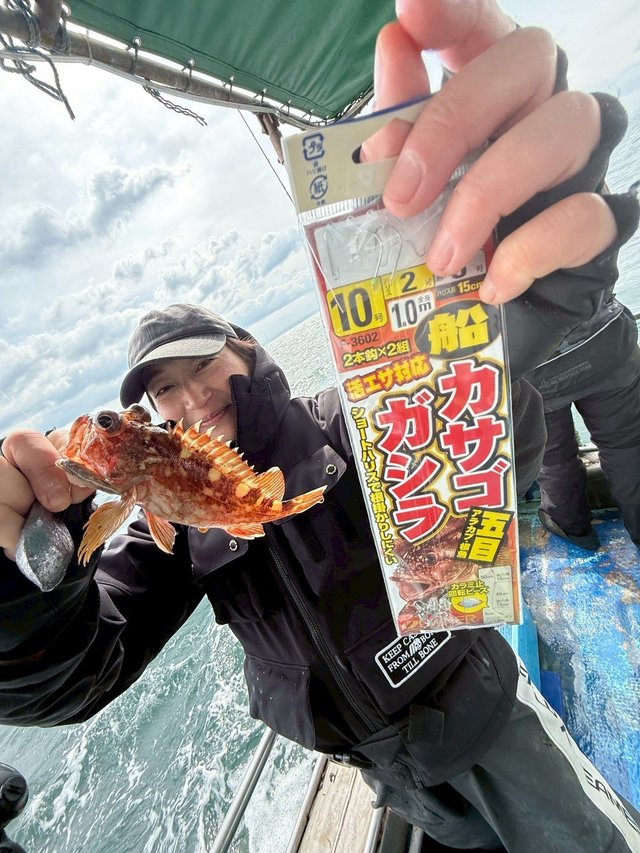 ガシラ(カサゴ)