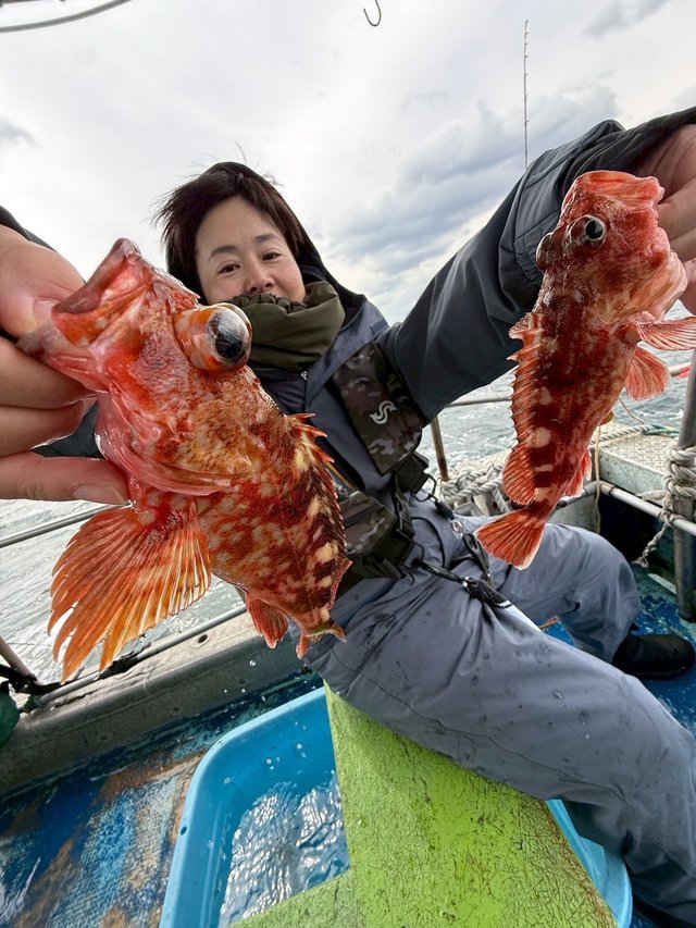 ガシラ(カサゴ)