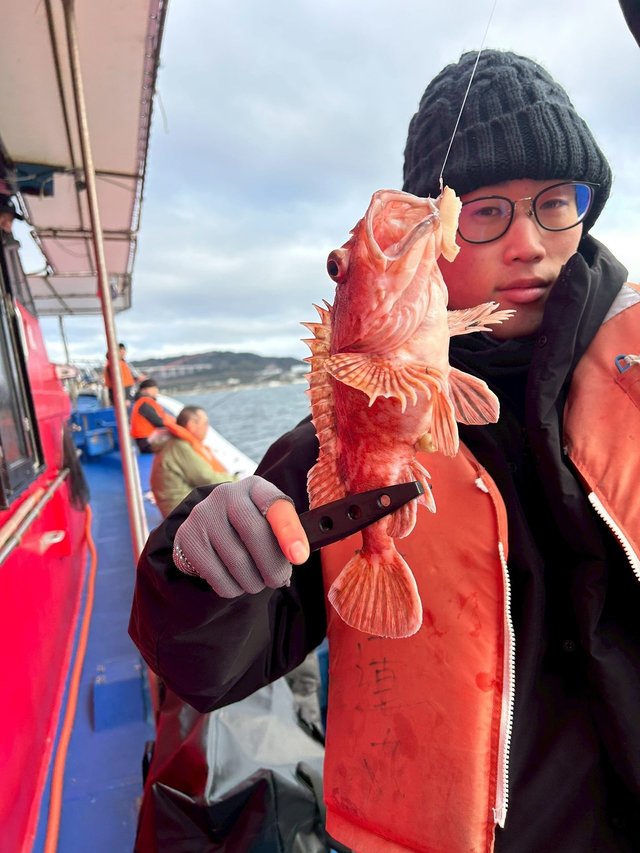 ガシラ(カサゴ)