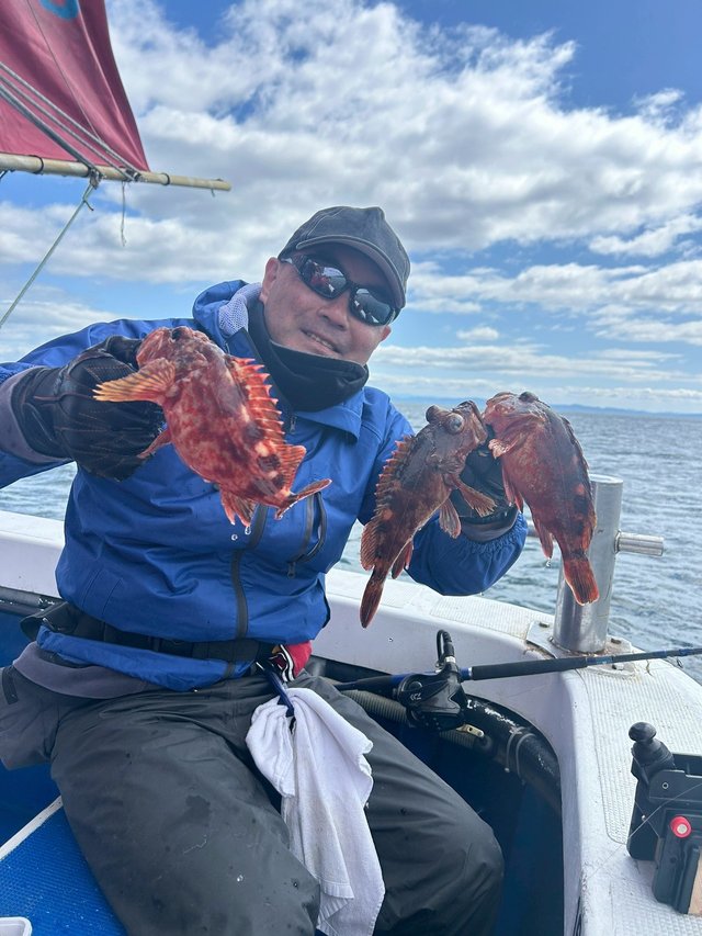 ガシラ(カサゴ)