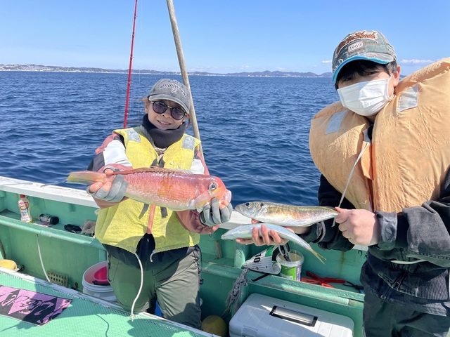 アジ(マアジ)・アマダイ(アカアマダイ)