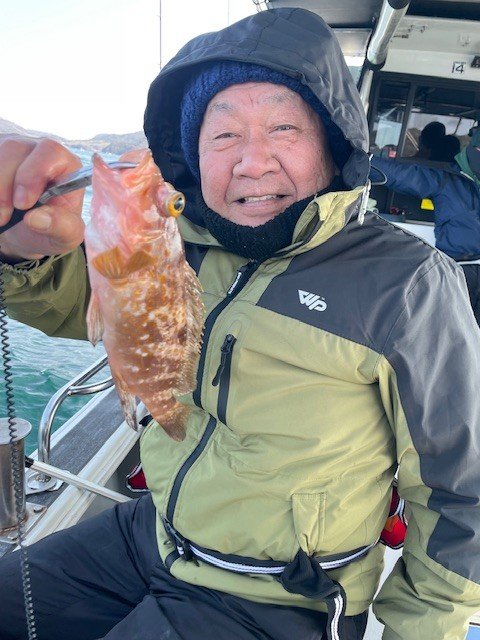 アコウ(キジハタ)