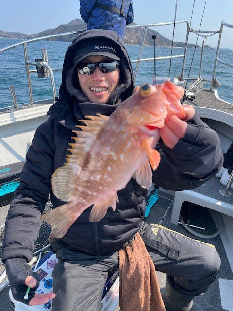 アコウ(キジハタ)