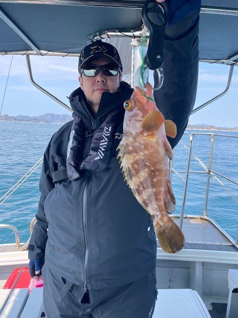 アコウ(キジハタ)