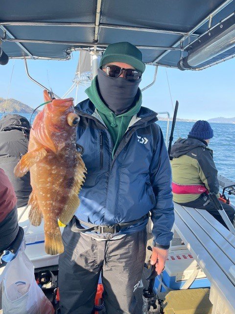 アコウ(キジハタ)