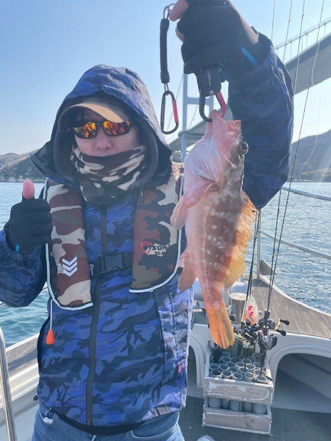 アコウ(キジハタ)