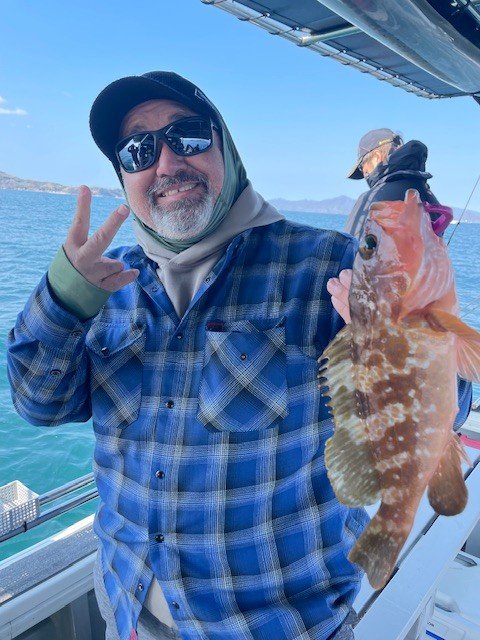 アコウ(キジハタ)