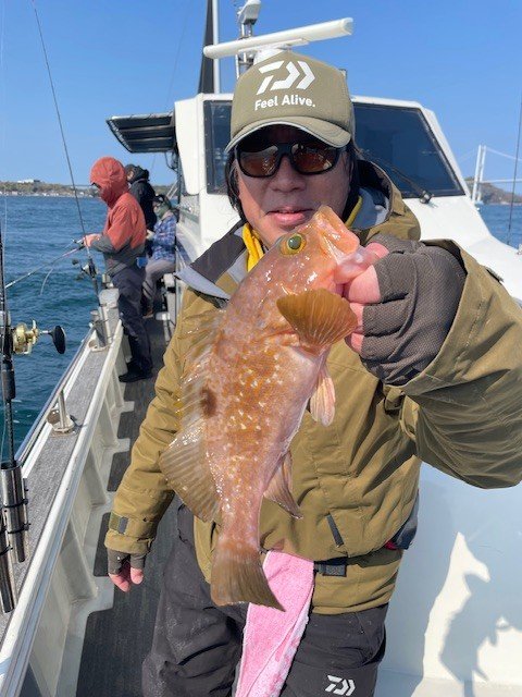 アコウ(キジハタ)