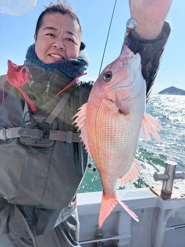 マダイ