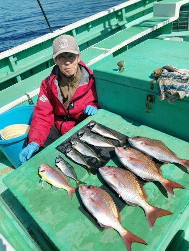 マダイ・アジ(マアジ)・イトヨリ(イトヨリダイ)
