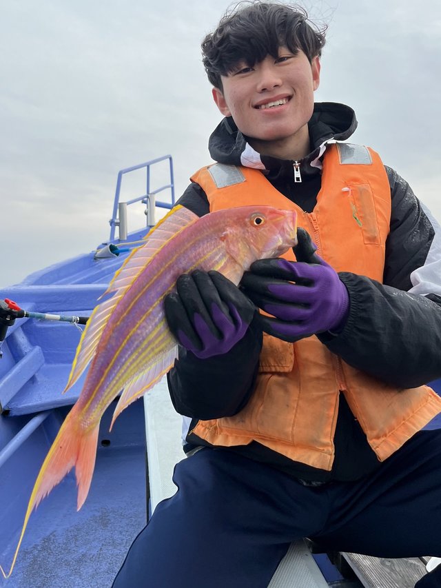 イトヨリ(イトヨリダイ)