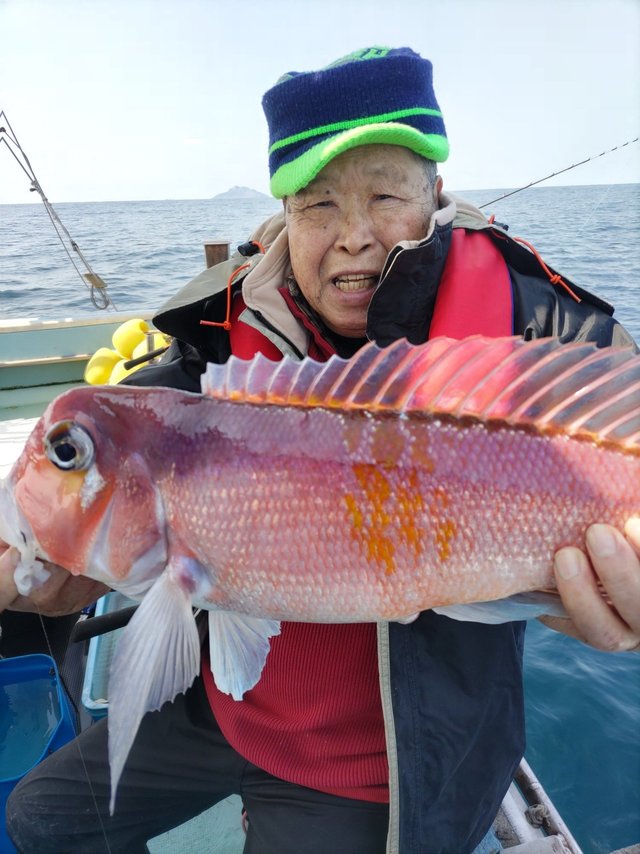 アマダイ(アカアマダイ)