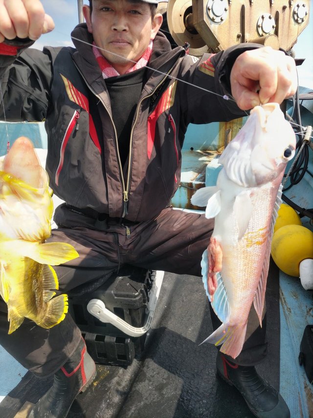 アオハタ・アマダイ(アカアマダイ)