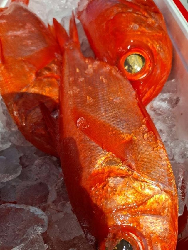 キンメ(キンメダイ)