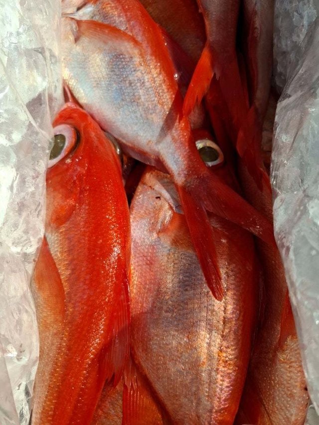 キンメ(キンメダイ)